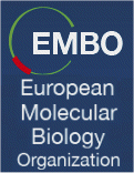 E.M.B.O.